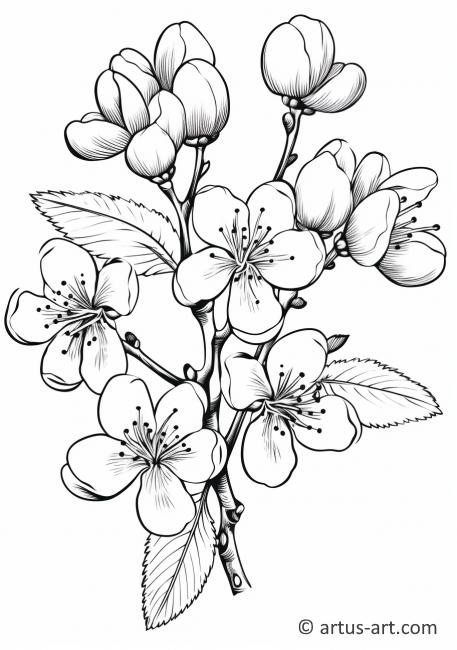 Página para colorear de flores de ciruelo